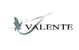 Création du logo John Valente